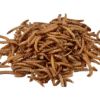 Picture of Dried Mealworm